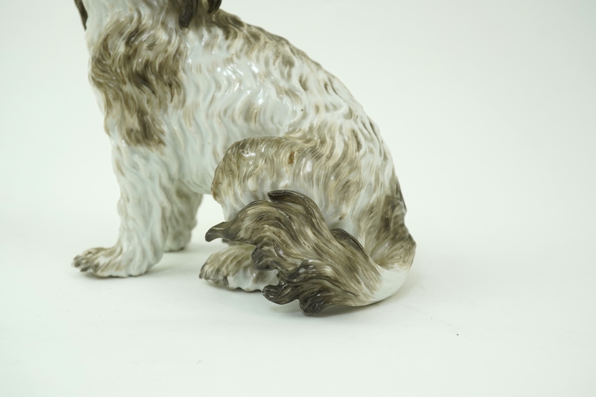 A Meissen figure of a seated Bolognese terrier, 19th century